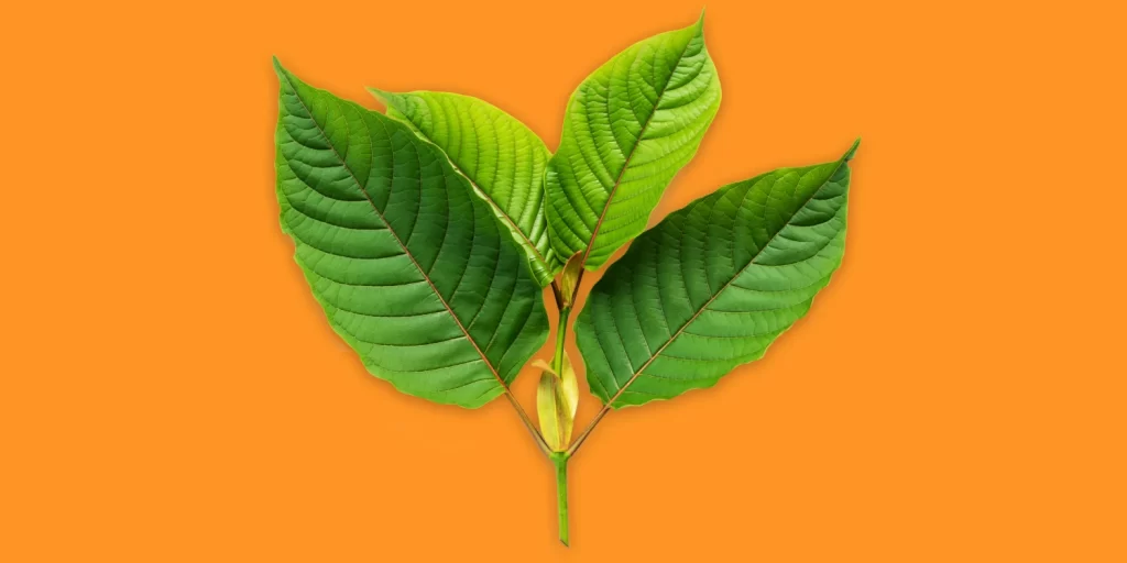 kratom for sale