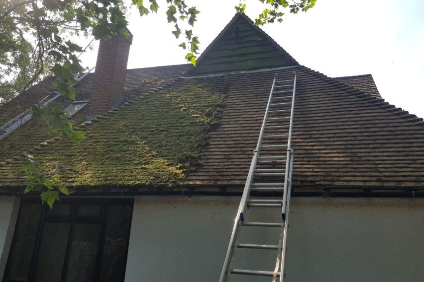 roof cleaning 